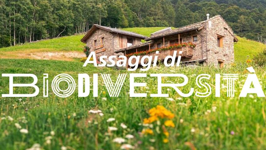 SAPORI DI SELVAGGINA